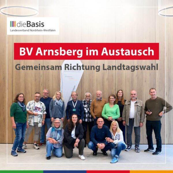 dieBasis - Vernetzung und politische Positionierung
